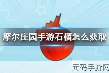 摩尔庄园手游,探秘石榴获取的神秘之地