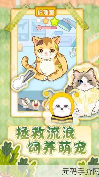 猫猫狗狗冰淇淋手游新版本发布，打造萌宠专属夏日清凉