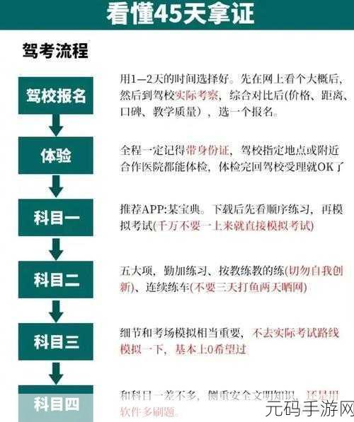 捣蛋大脚怪考驾照秘籍,详细流程与关键技巧