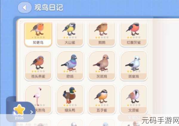 心动小镇观鸟秘籍,解锁爱好与提升技巧全攻略