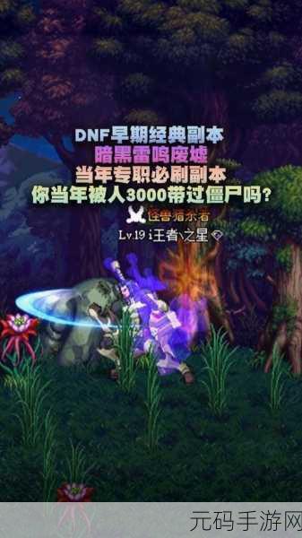 DNF 冰属性角色大揭秘,谁才是冷冻力与战斗魅力之王?