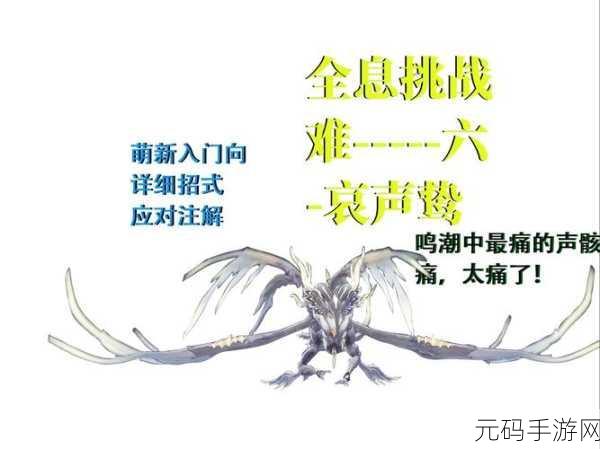 鸣潮攻略,解锁异象哀声鸷的终极秘诀