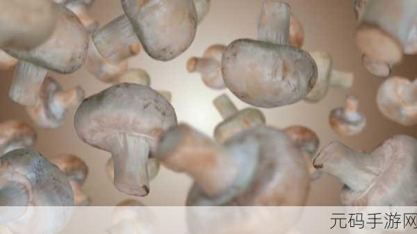 蘑菇视屏黑料,蘑菇短视频 - 热门趣味生活