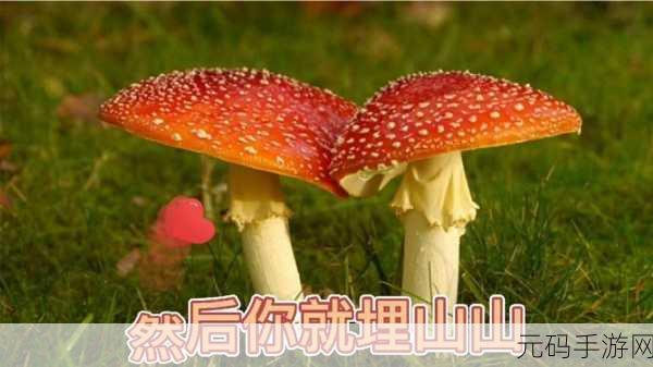 蘑菇视屏黑料,蘑菇短视频 - 热门趣味生活
