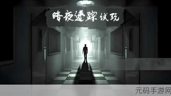 恐怖冒险新游暗夜迷踪震撼发布,带你探索未知恐惧