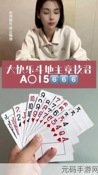 博雅和榜一大哥斗地主免费,斗地主:欢乐竞技·超燃对决