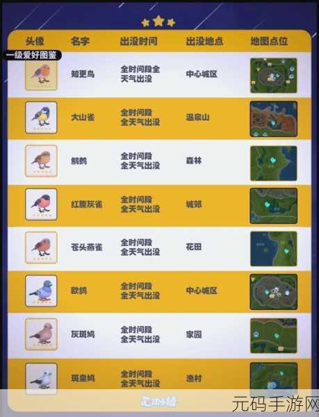 心动小镇观鸟爱好解锁秘籍大公开