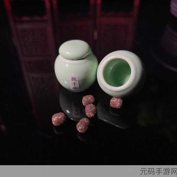 深度开发梁医生不可以(限)蜜丸,梦幻医馆:蜜丸奇缘