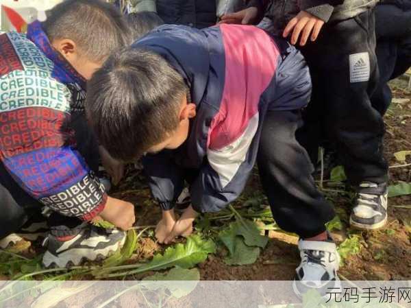床上动作真人秀拔萝卜,萝卜农场大作战