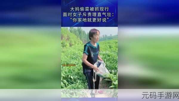 51今日吃瓜调教,今日修炼小助手