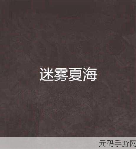 迷雾之夏第五章完美通关秘籍大揭秘