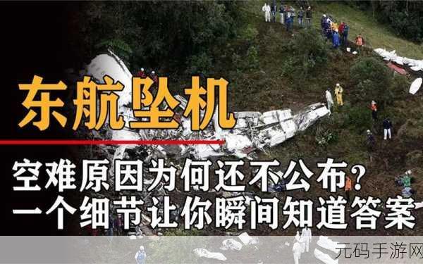广西飞机失事黑匣子已经找到为什么不公开坠机原因,飞行模拟器揭秘:解密黑匣子数据与空难调查全过程