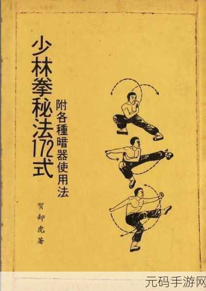 七十二招式视频,武学秘籍大全:72式连招图解