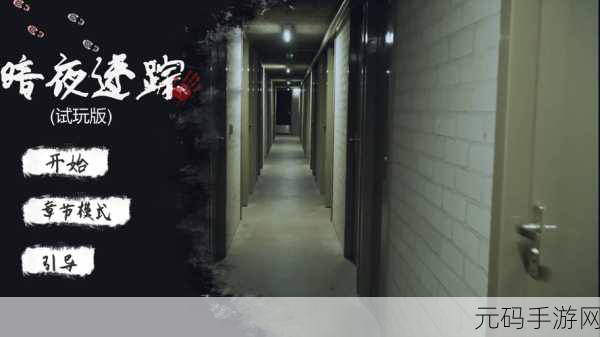 新游戏发布，黑白恐怖冒险暗夜迷踪震撼来袭