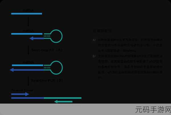 rna与cdna杂交,基因配对大作战