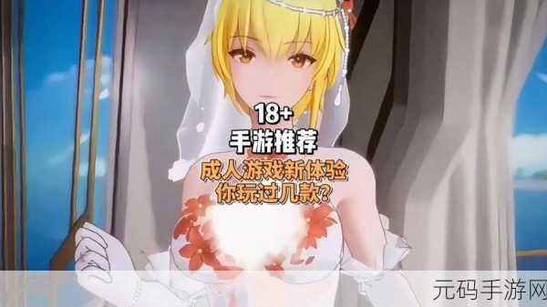 18+游戏,成人向游戏