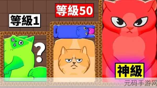 手游资讯,萌趣来袭!Box Cats Puzzle新游戏发布,猫咪主题的解谜盛宴