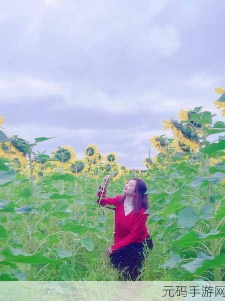向日葵污视频,阳光花开视频