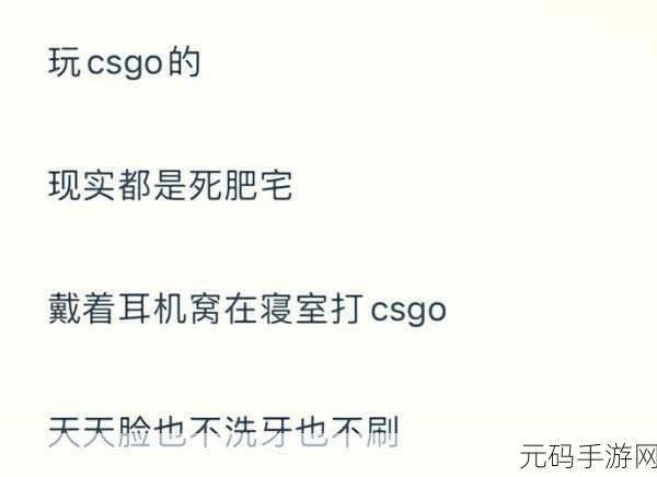 暴躁老阿姨CSGO最新版本更新时间,枪战竞技手游最新版本更新公告