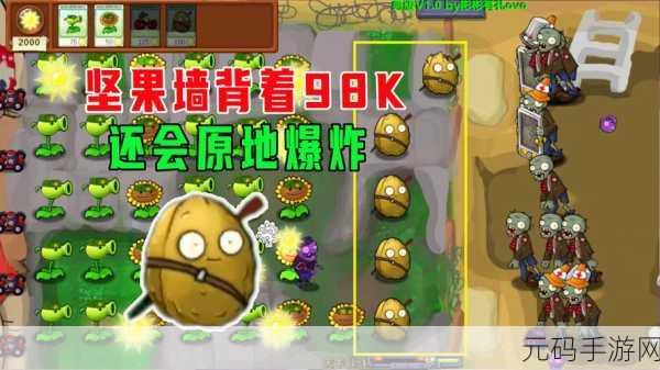 坚果排序游戏全新版本震撼发布,分类闯关挑战再升级