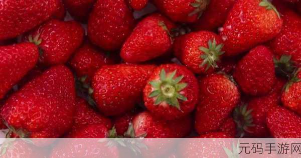 草莓视频,草莓时刻