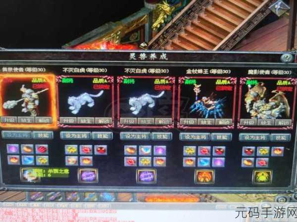 国精产品999一区二区三,999传奇-热血归来