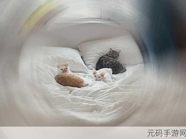 182在线视频,182视频小屋