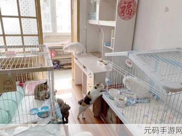 182在线视频,182视频小屋