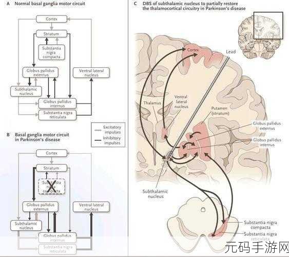 手绘冒险新纪元,大脑43度英文版下载现已开启