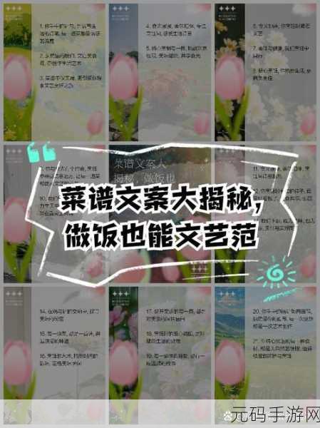 必看!轻松学会做饭的菜谱软件大揭秘