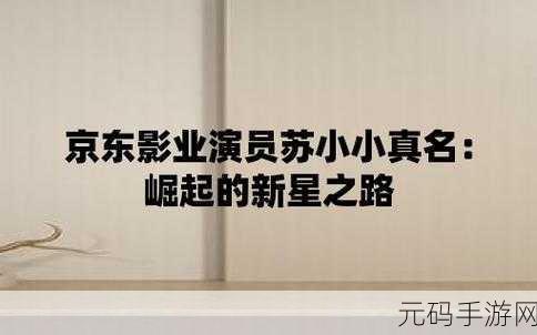 苏小小京东影业传媒 创始人,苏小小游戏 创始人
