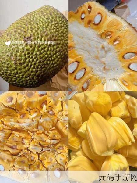高爱菠萝视频,菠萝视频 - 高清短视频