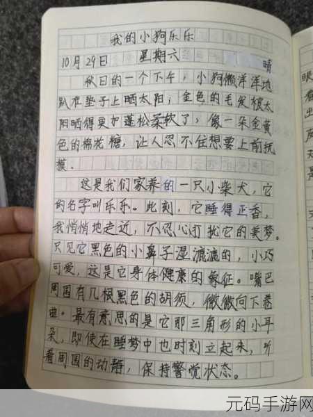 校花给我看他小积积作文，校花的秘密日记