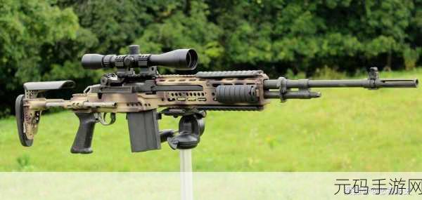 SKS和mk14,最强DMR对决:SKS vs MK14