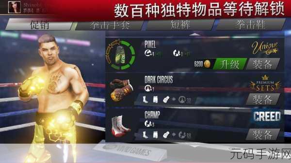 拳击鸭中文版震撼发布,体验前所未有的拳击对决