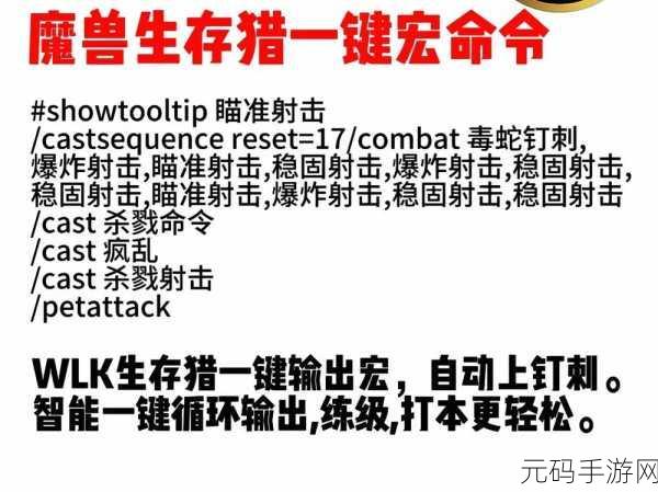 巫妖王之怒惩戒一键宏,一键释放死亡之力-巫妖王惩戒连招