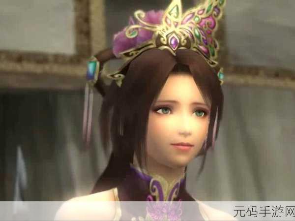 三国戏英杰传无双 8 樊城之战,风云激荡的史诗对决