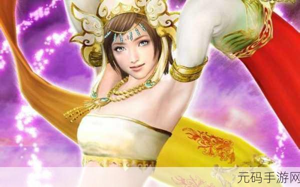 三国戏英杰传无双 8 樊城之战,风云激荡的史诗对决