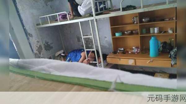 搞鸡视频,趣玩视频