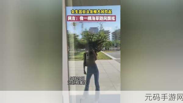 头发挑战赛最新版震撼发布,魔性闯关手游再掀狂潮