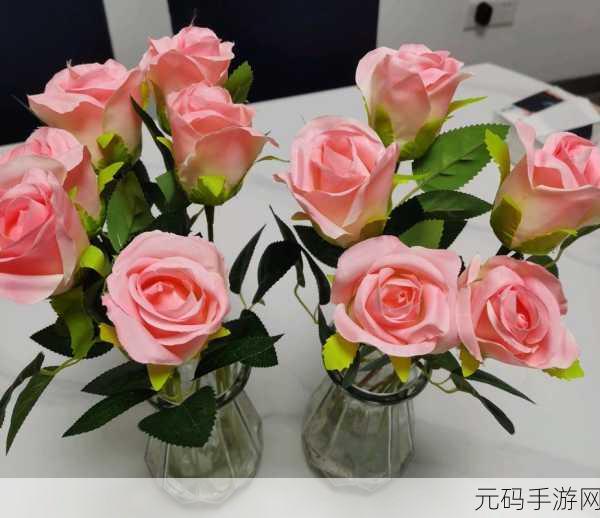 506寝室的灯灭了以后6朵,506寝室熄灯后的六朵花