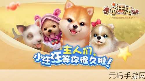 宠物玩乐园手游新版本盛大发布,欢乐升级,惊喜不断!
