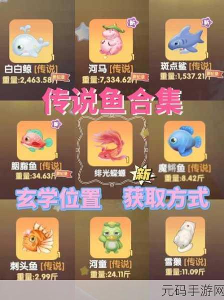 摩尔庄园手游,精准定位洛克,位置大揭秘