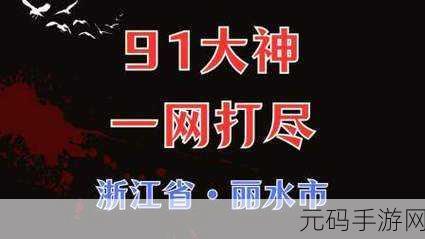 91大神破解版,热门游戏精选社区