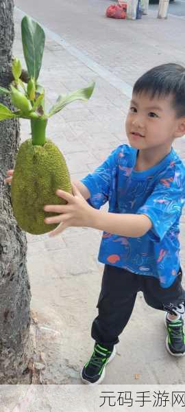 菠萝蜜在线么免费观看,菠萝蜜视频 - 热门影视随心看