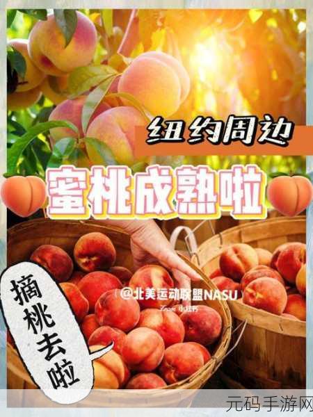 蜜桃熟了5D,蜜桃成熟5D