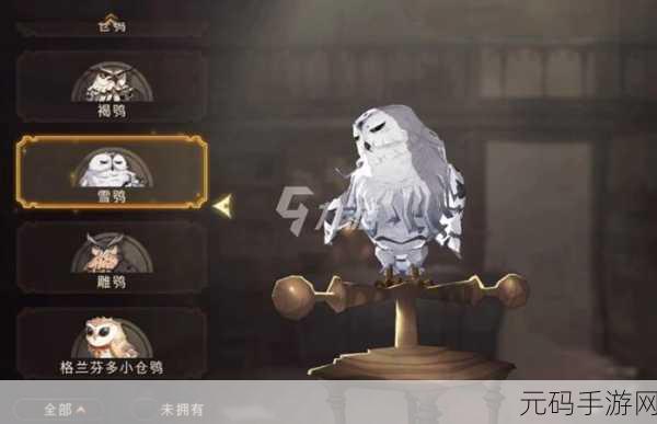 哈利波特魔法觉醒,轻松拿下猫头鹰的秘籍攻略
