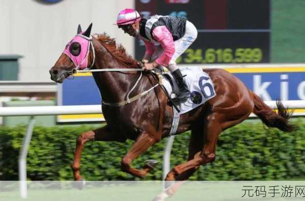 马术之星3欧版下载开启,沉浸式模拟骑马体验新升级
