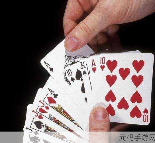 打扑克不盖被子图片大全,欢乐棋牌竞技大师