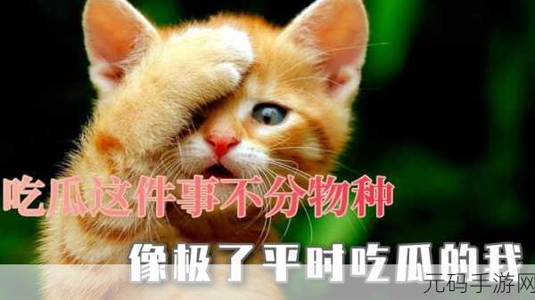 17c吃瓜国产在线观看,17c热门八卦